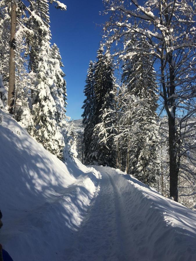 Ferienhaus Rotzinger Hinterzarten Εξωτερικό φωτογραφία
